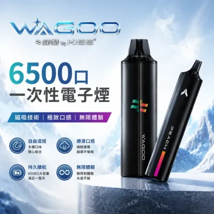 12種口味｜哇酷/WAGOO & KIS5 聯名款 6500口一次性電子煙