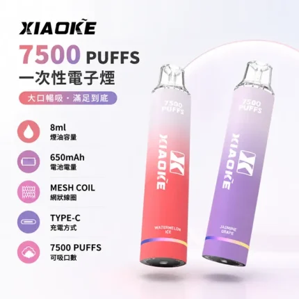 XIAOKE/梟客 XIAOKE梟客 一次性電子煙 7500口 17種口味 8ml 650mAh Type-C充電