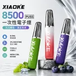 20種口味｜梟客/XIAOKE 8500口一次性電子煙