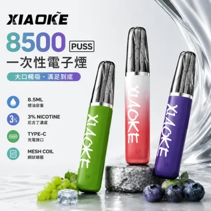 20種口味｜梟客/XIAOKE 8500口一次性電子煙
