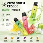 13種口味｜風暴VAPOR STORM 5000口一次性電子煙